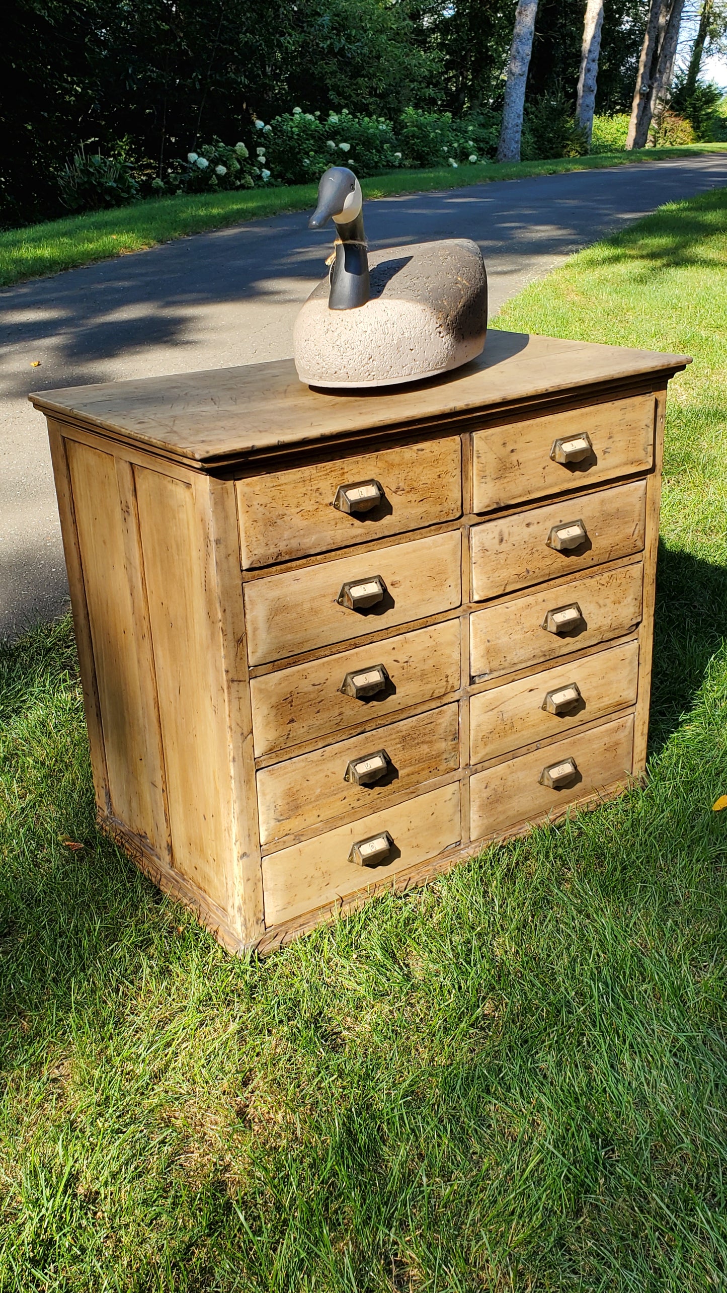 Apothecary Chest of Drawers- SOLD
